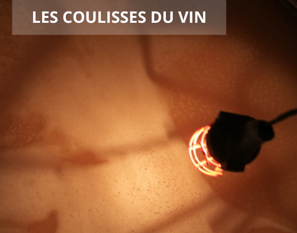 Les coulisses du vin